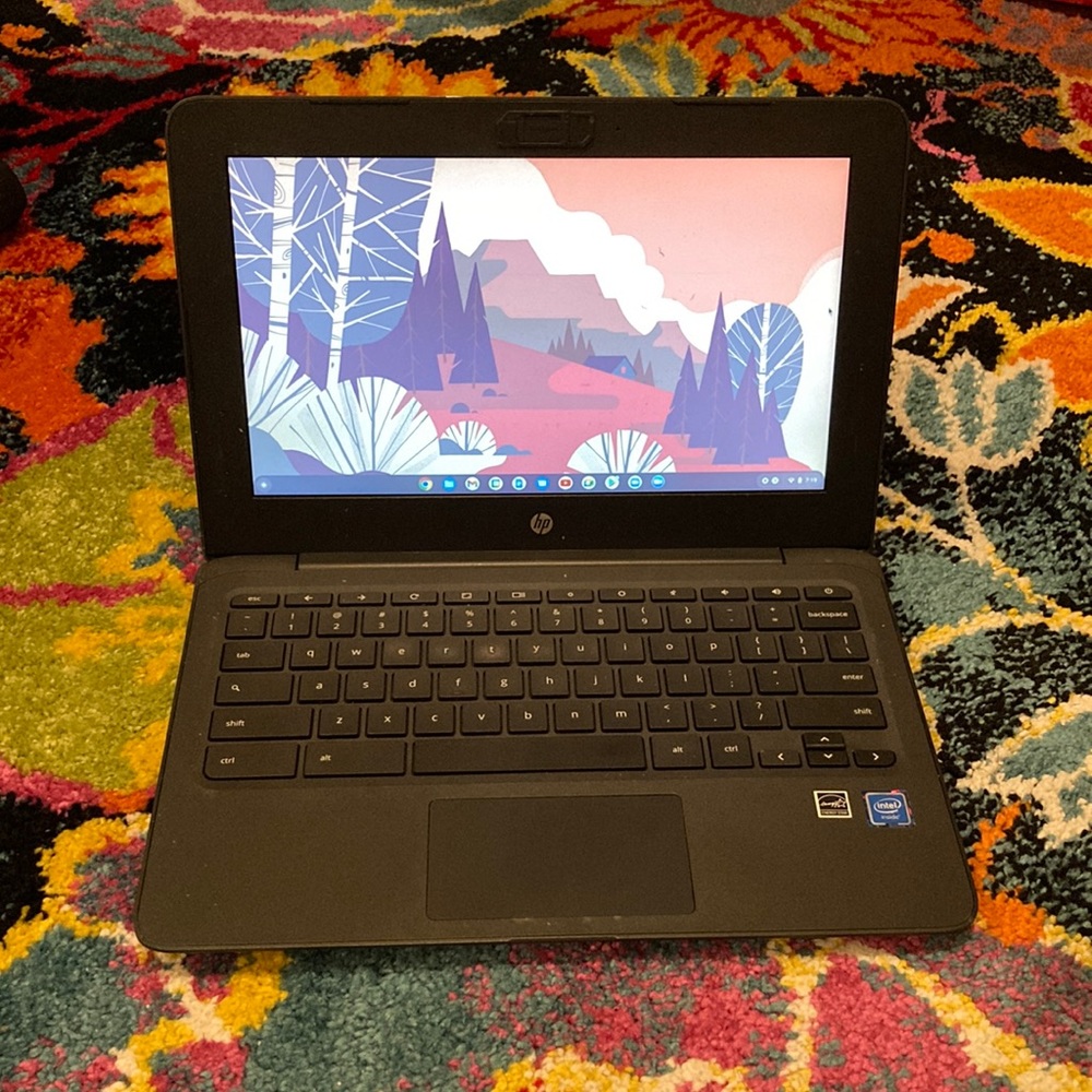 HP Chromebook - Intel Celeron- 4 GB MEMORY 11.6” Ash Gray